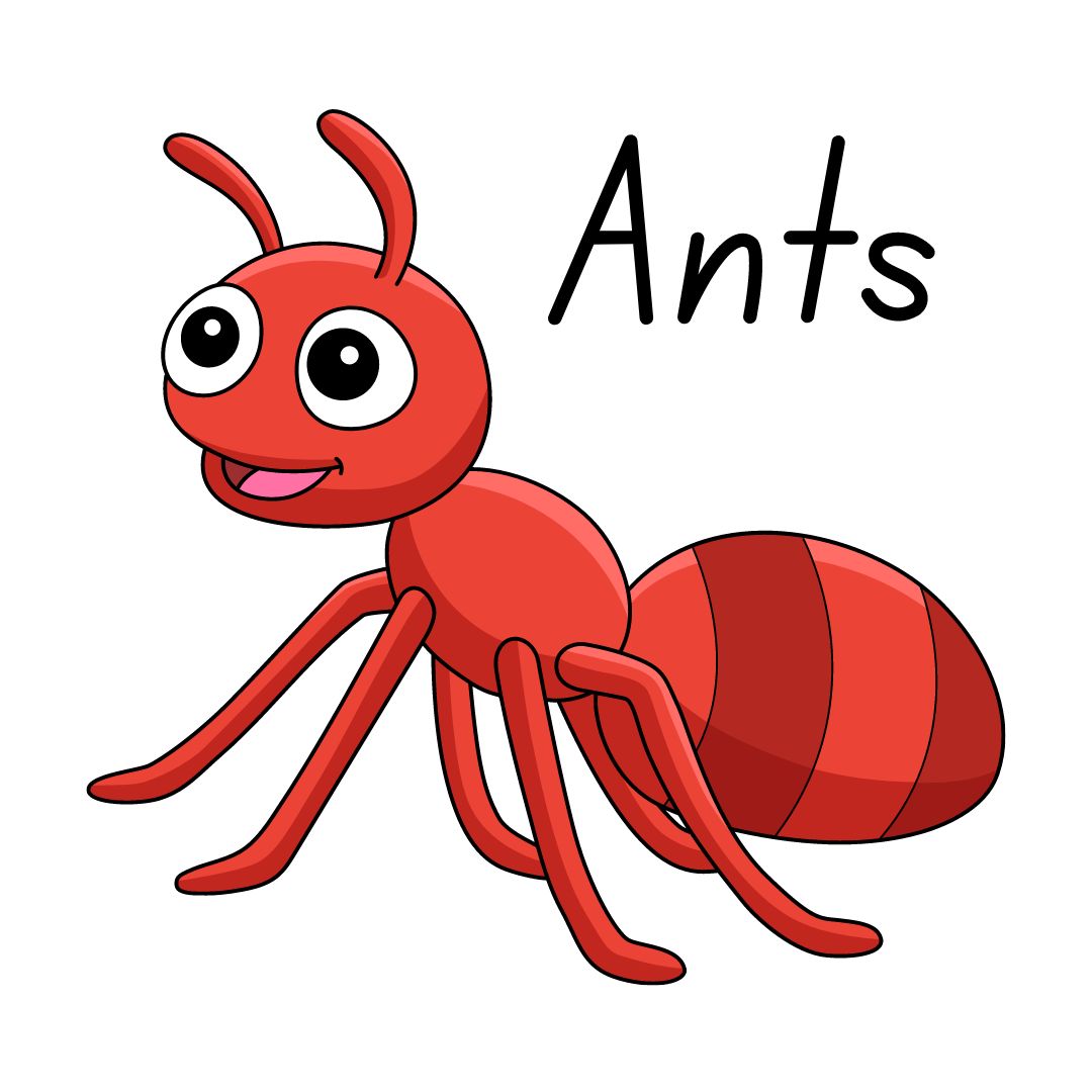 ants