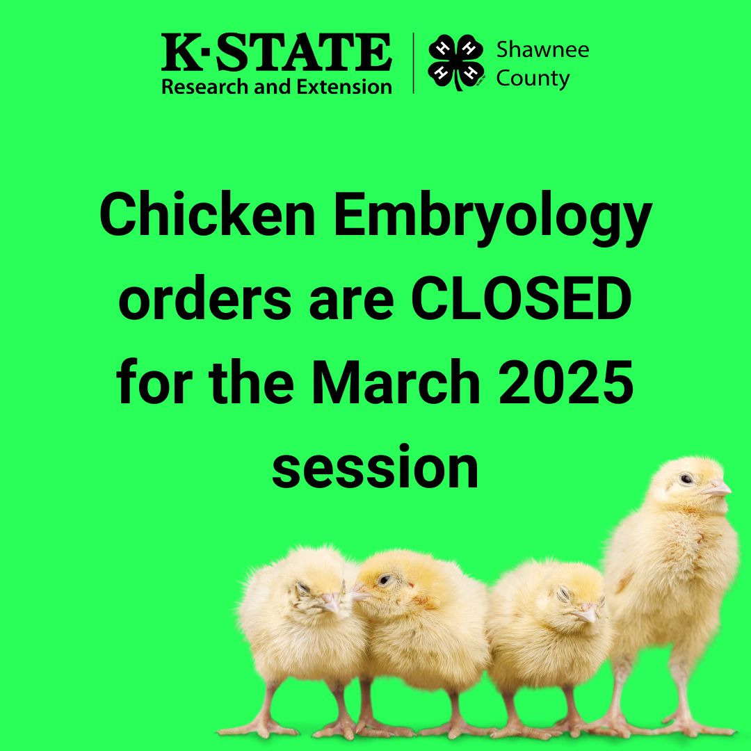 Chicken Embryology Closed